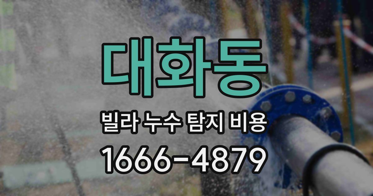 대화동 빌라 누수 탐지 비용