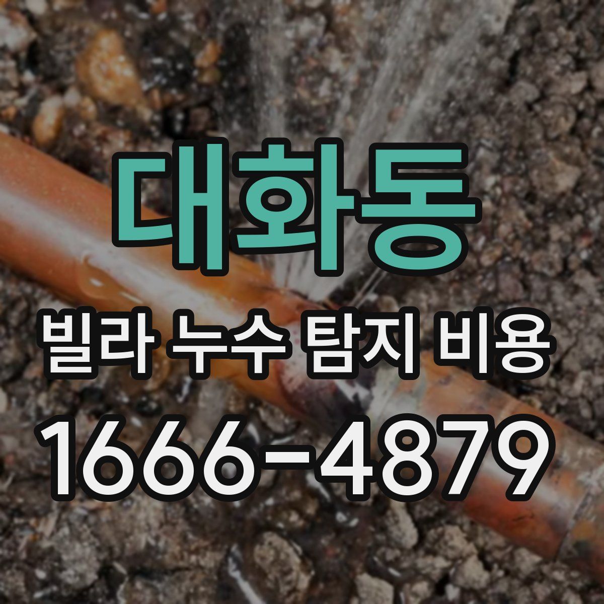 대화동 빌라 누수 탐지 비용