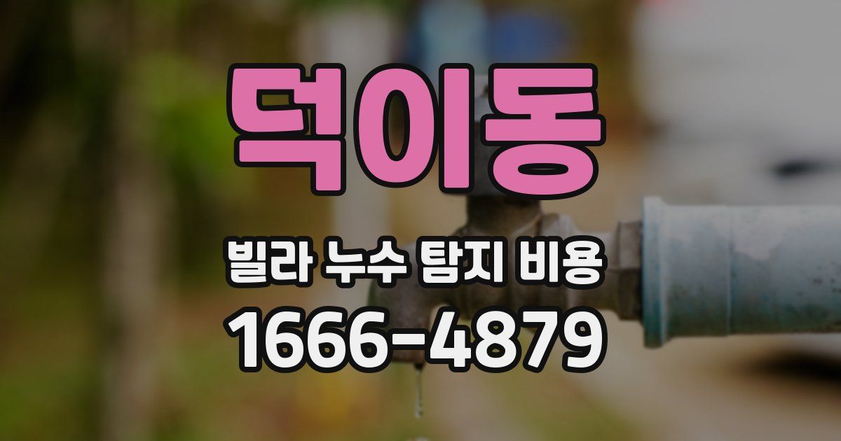 덕이동 빌라 누수 탐지 비용