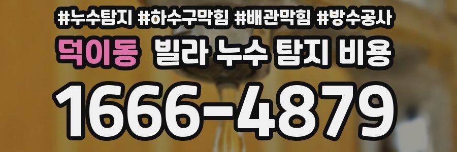 덕이동 빌라 누수 탐지 비용
