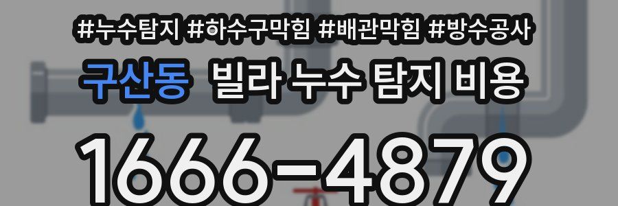구산동 빌라 누수 탐지 비용