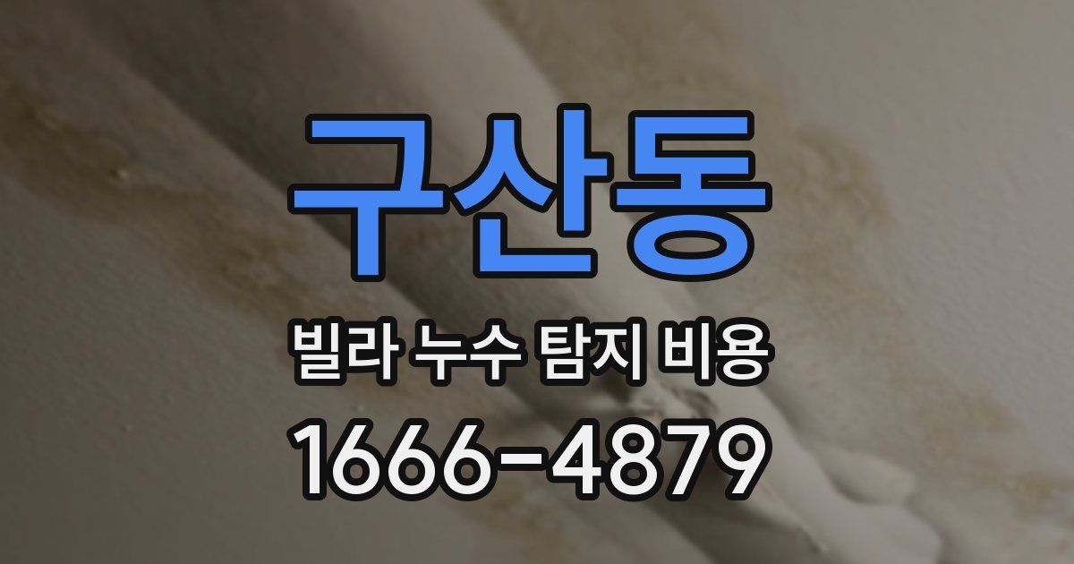구산동 빌라 누수 탐지 비용
