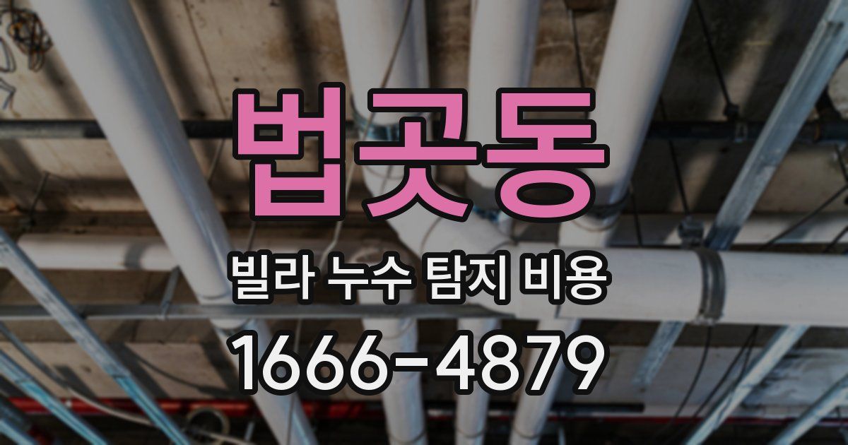 법곳동 빌라 누수 탐지 비용
