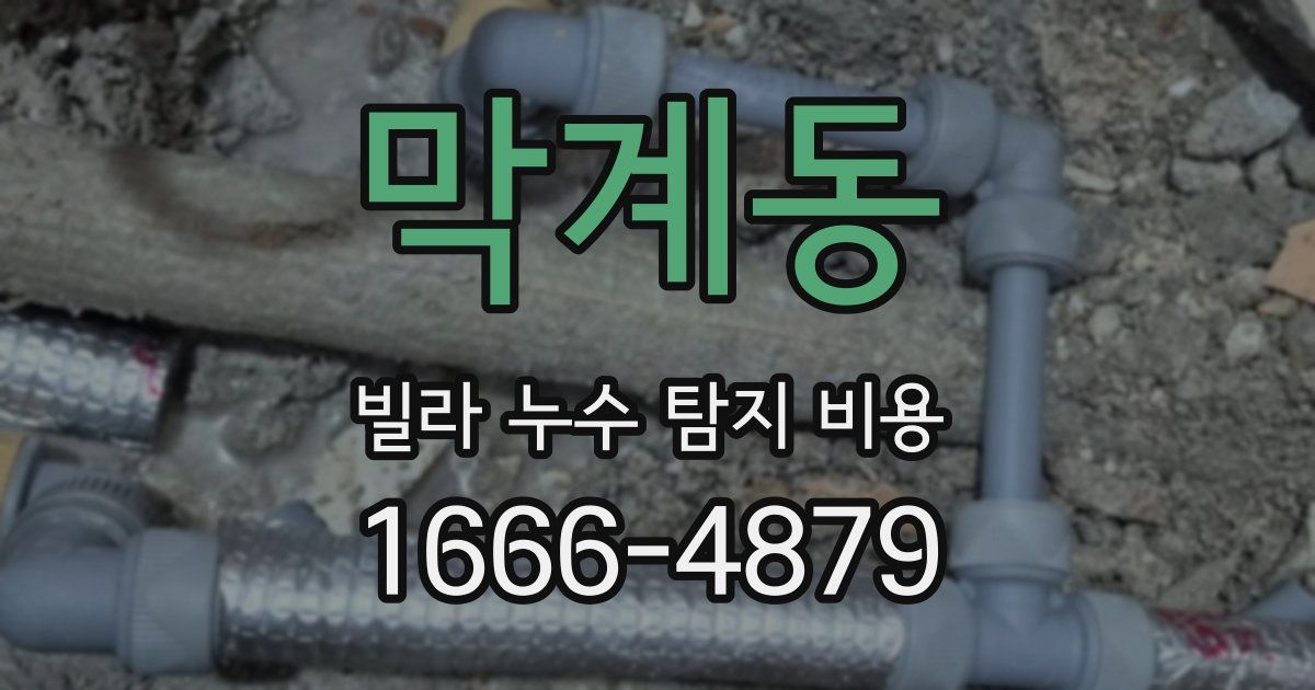 막계동 빌라 누수 탐지 비용