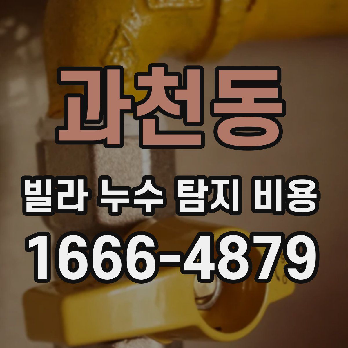 과천동 빌라 누수 탐지 비용