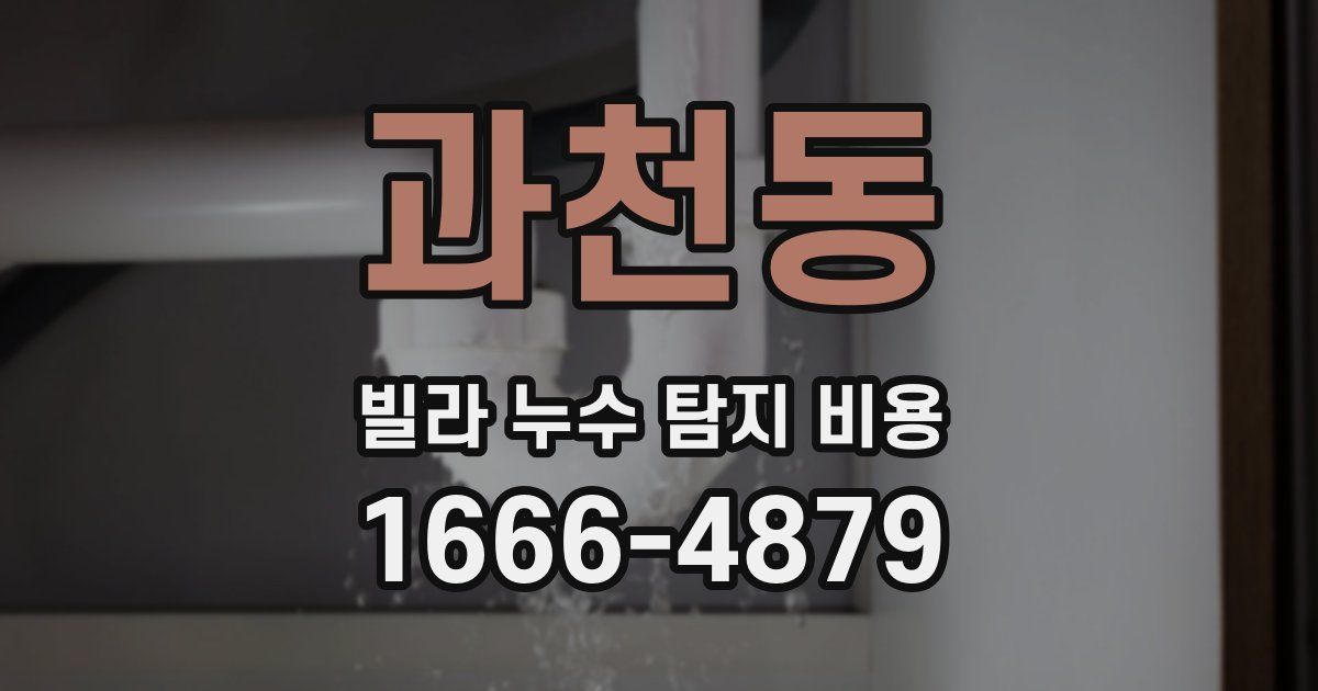 과천동 빌라 누수 탐지 비용