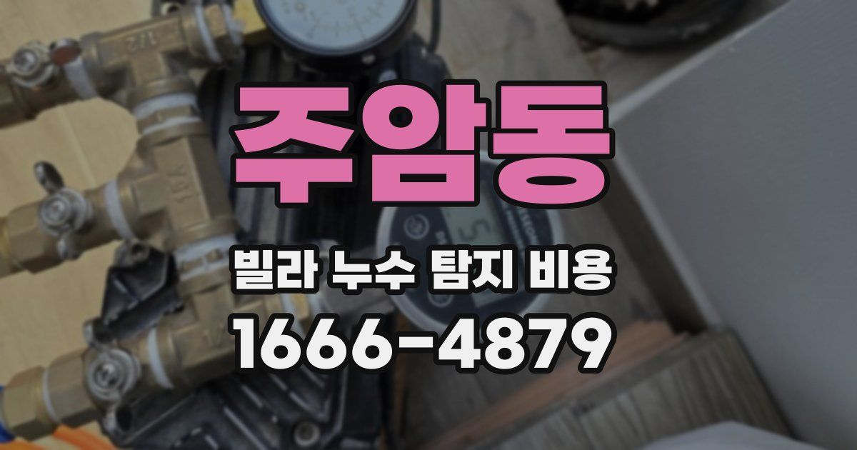주암동 빌라 누수 탐지 비용