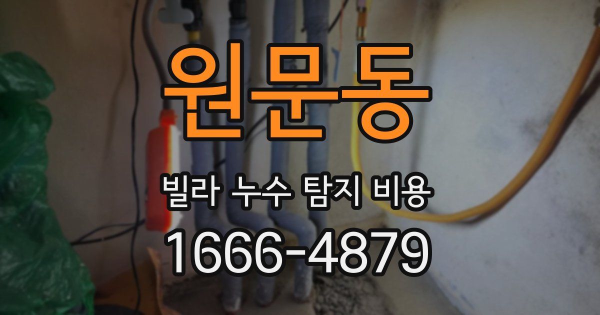 원문동 빌라 누수 탐지 비용