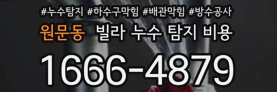 원문동 빌라 누수 탐지 비용
