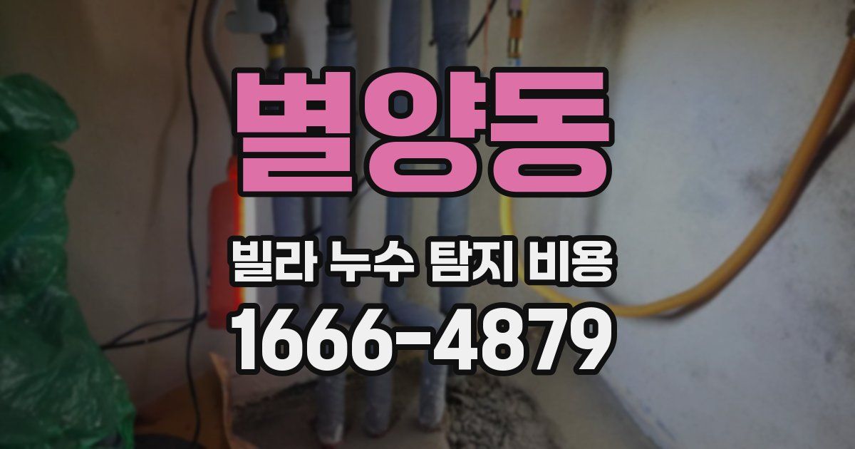 별양동 빌라 누수 탐지 비용