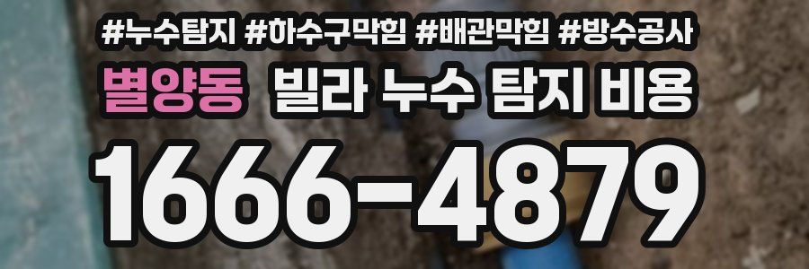 별양동 빌라 누수 탐지 비용