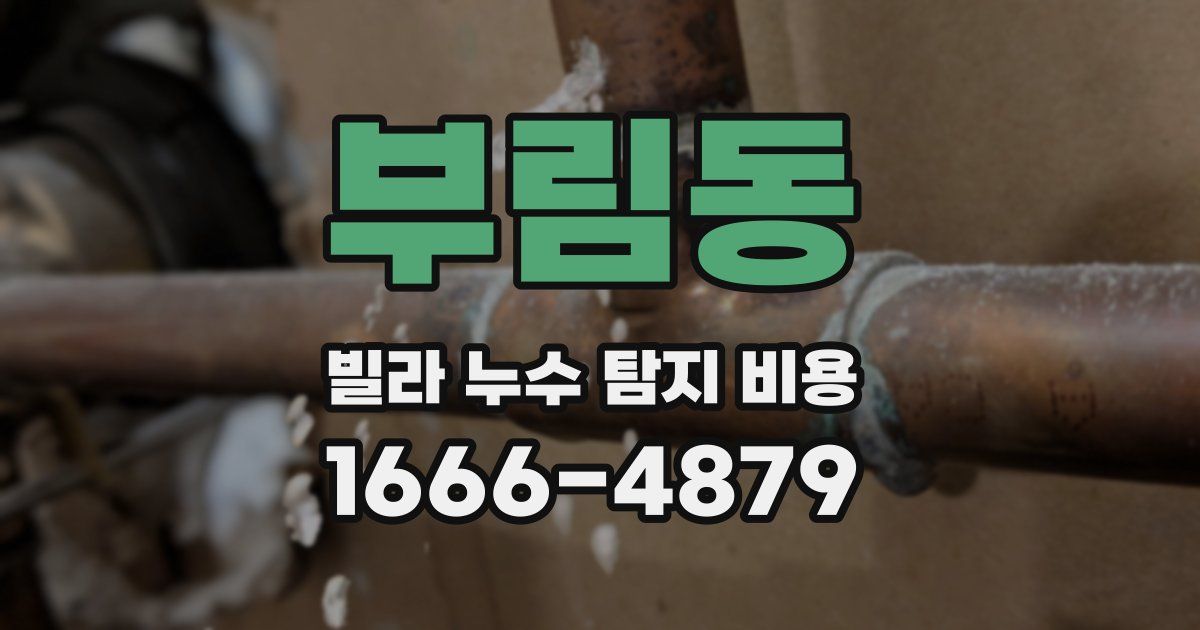 부림동 빌라 누수 탐지 비용