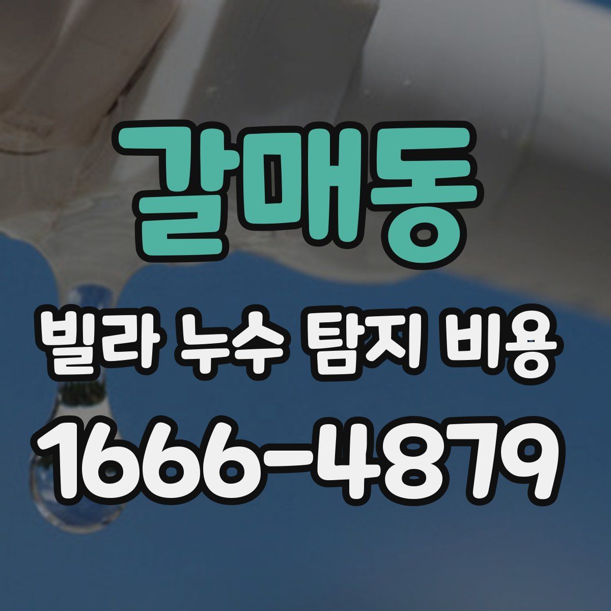 갈매동 빌라 누수 탐지 비용