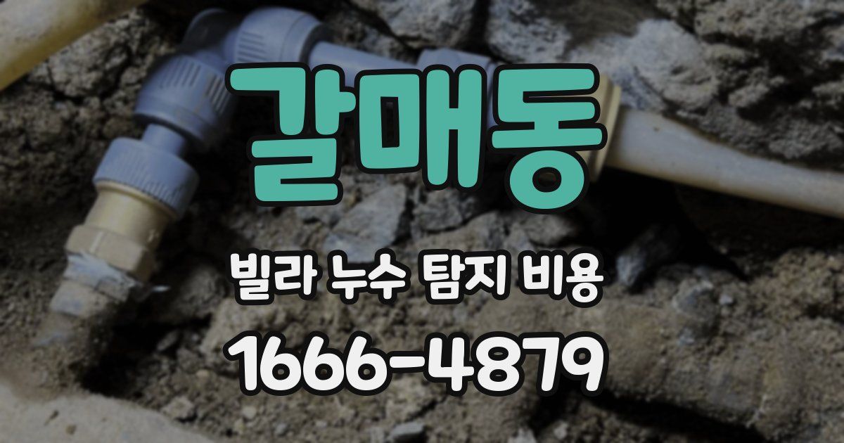 갈매동 빌라 누수 탐지 비용