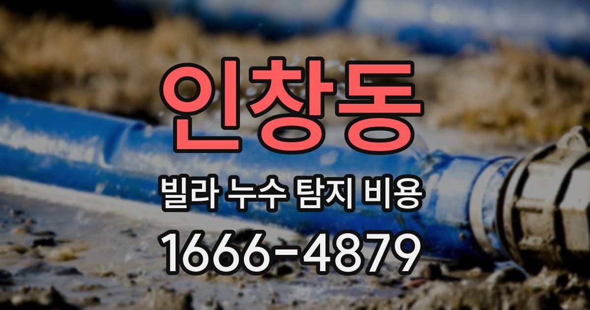 인창동 빌라 누수 탐지 비용