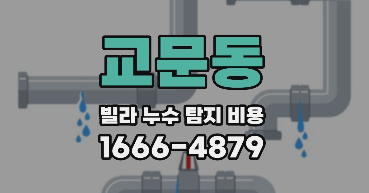 교문동 빌라 누수 탐지 비용