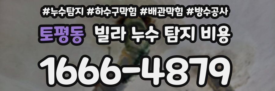 토평동 빌라 누수 탐지 비용