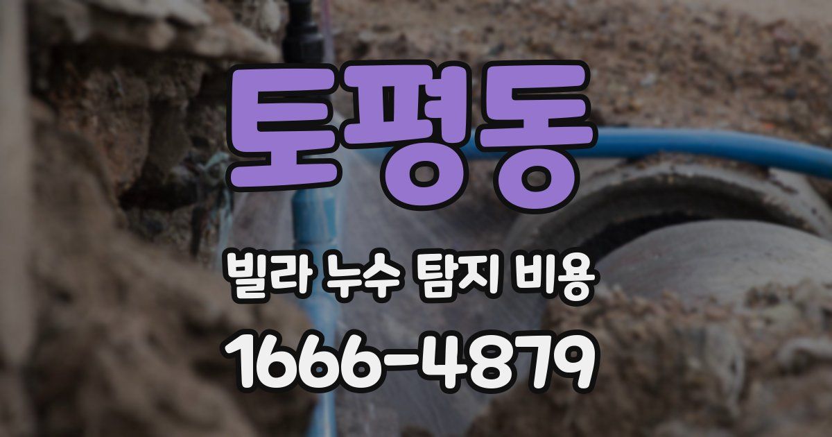 토평동 빌라 누수 탐지 비용