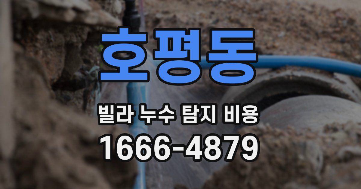 호평동 빌라 누수 탐지 비용
