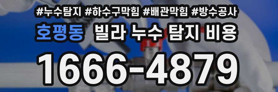 호평동 빌라 누수 탐지 비용