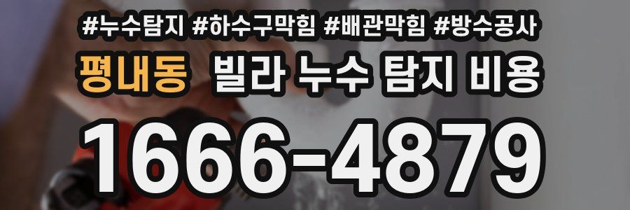 평내동 빌라 누수 탐지 비용