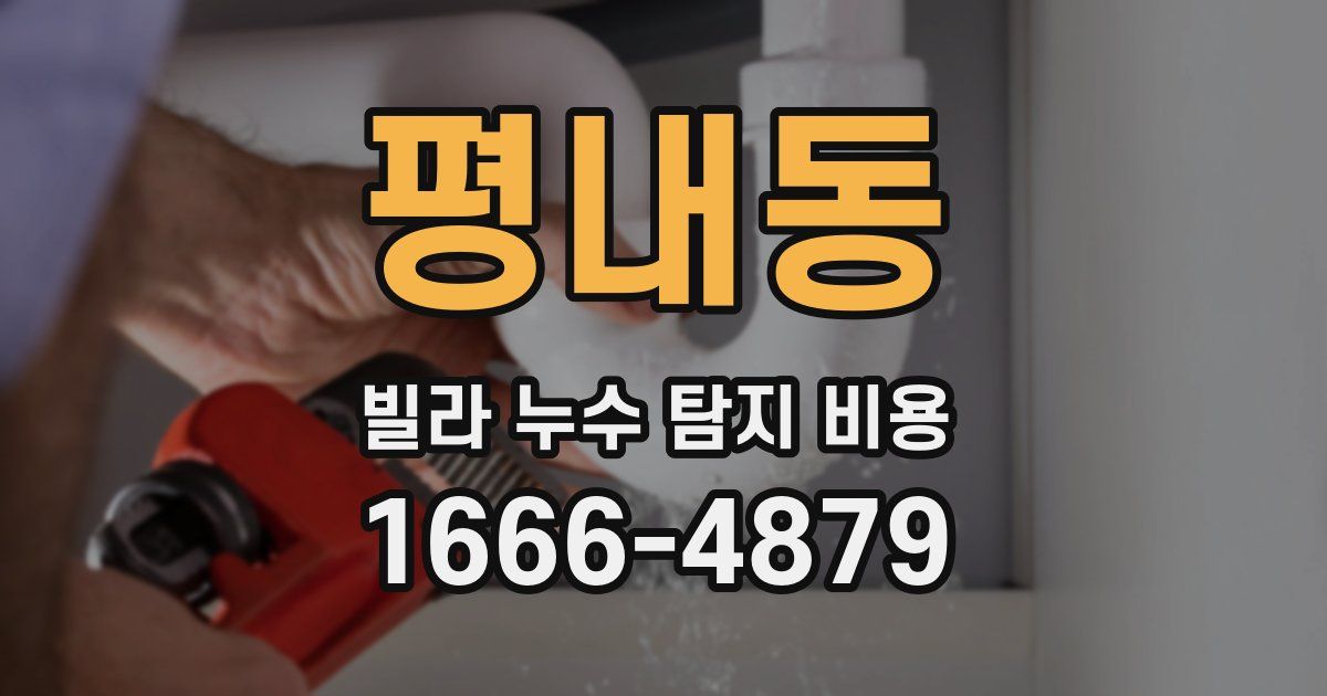 평내동 빌라 누수 탐지 비용