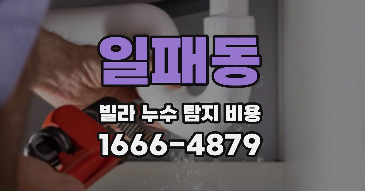 일패동 빌라 누수 탐지 비용
