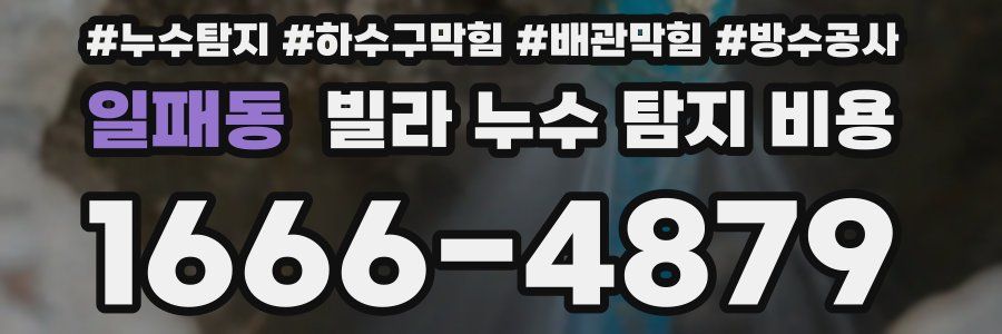 일패동 빌라 누수 탐지 비용