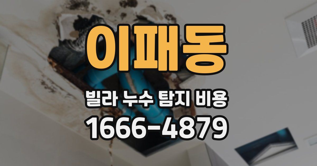 이패동 빌라 누수 탐지 비용