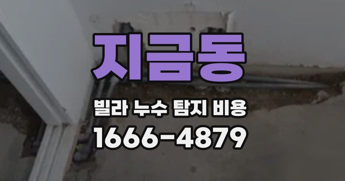 지금동 빌라 누수 탐지 비용