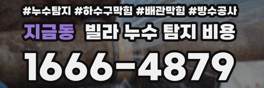 지금동 빌라 누수 탐지 비용
