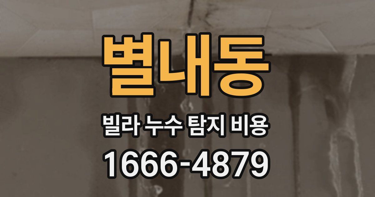 별내동 빌라 누수 탐지 비용