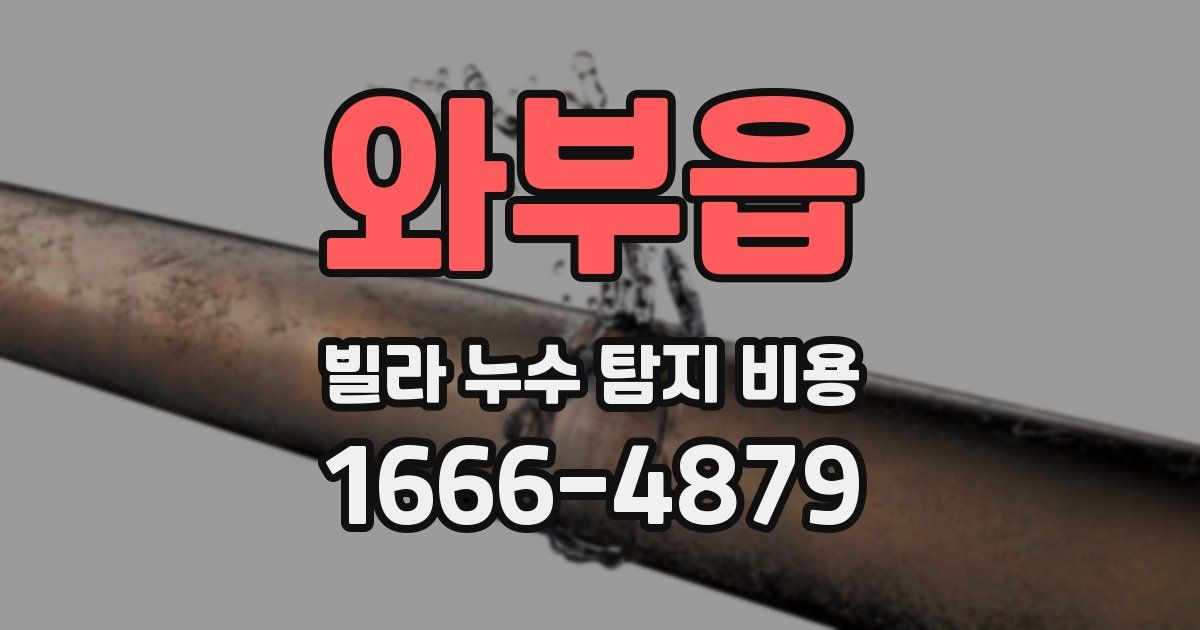 와부읍 빌라 누수 탐지 비용