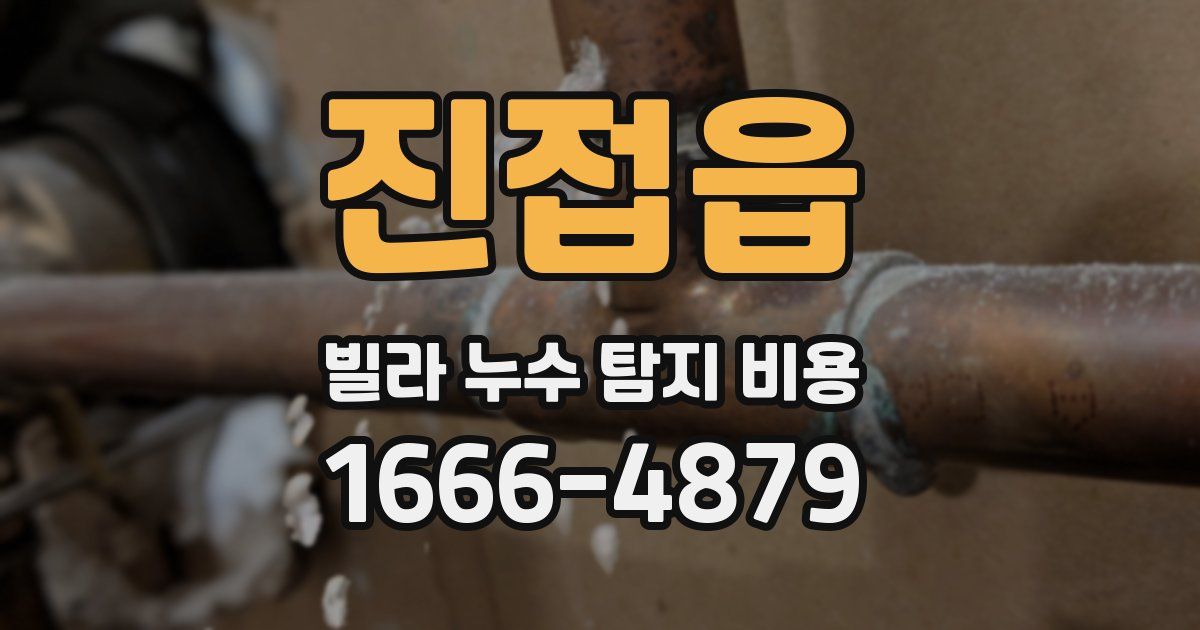 진접읍 빌라 누수 탐지 비용