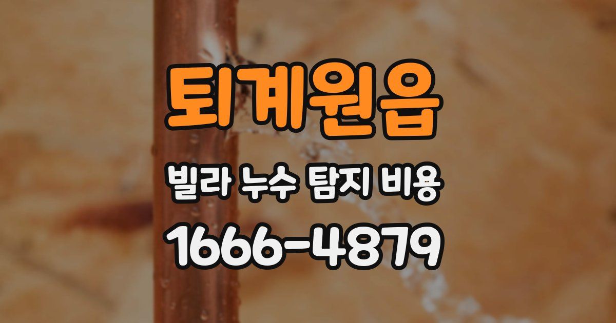 퇴계원읍 빌라 누수 탐지 비용