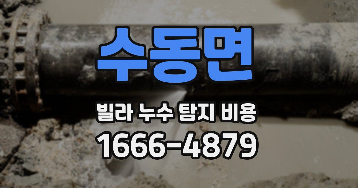 수동면 빌라 누수 탐지 비용