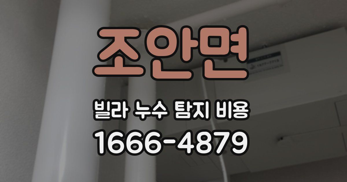 조안면 빌라 누수 탐지 비용