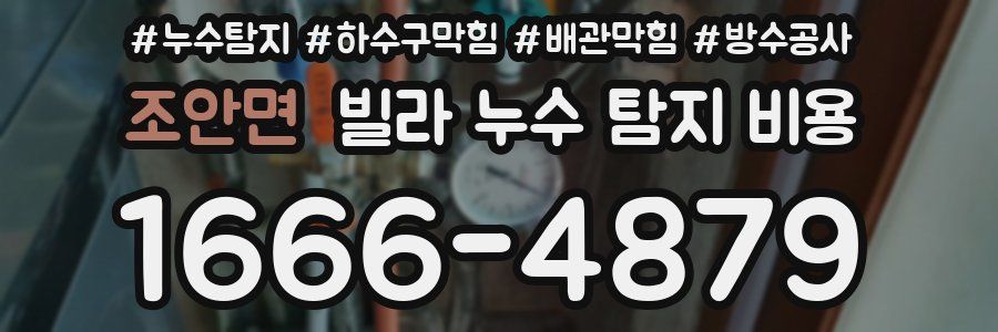 조안면 빌라 누수 탐지 비용