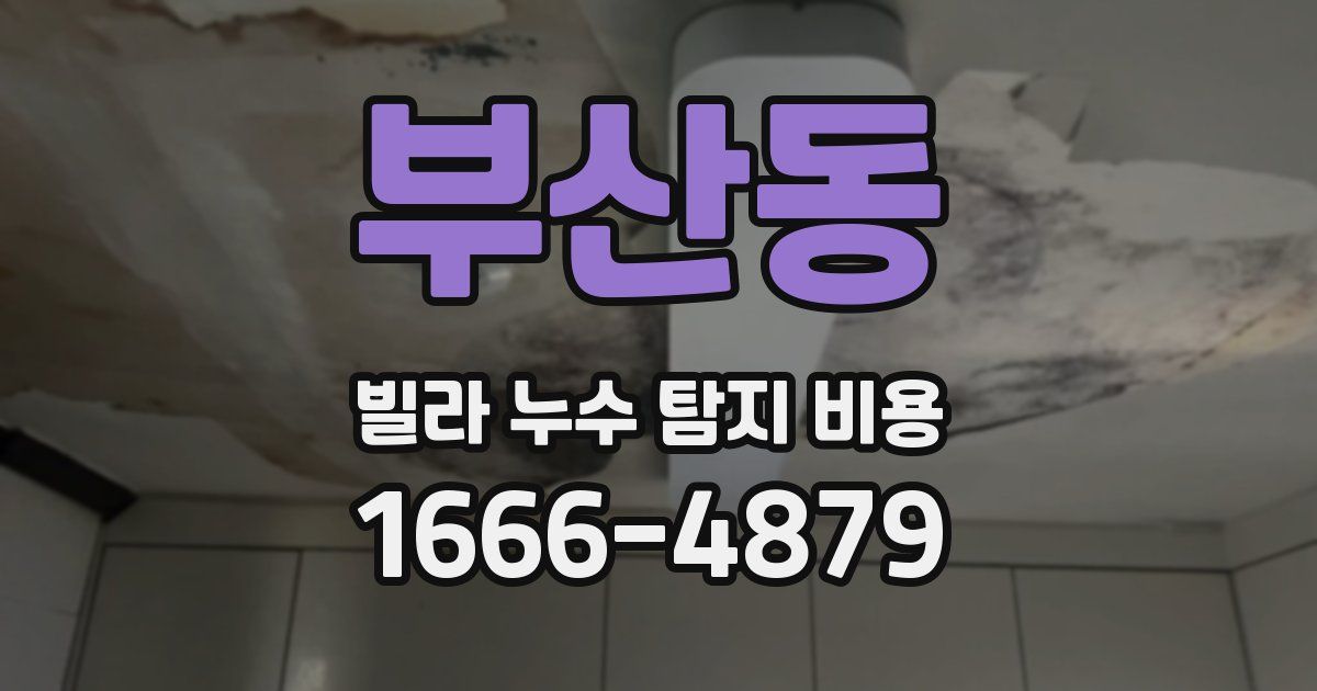 부산동 빌라 누수 탐지 비용
