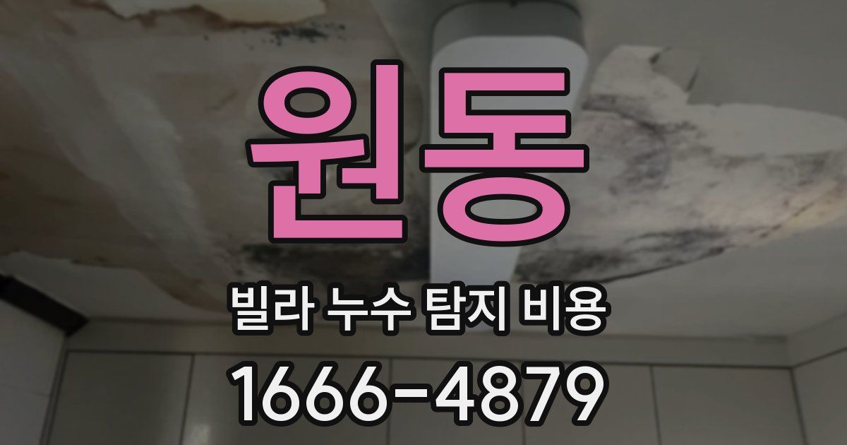원동 빌라 누수 탐지 비용