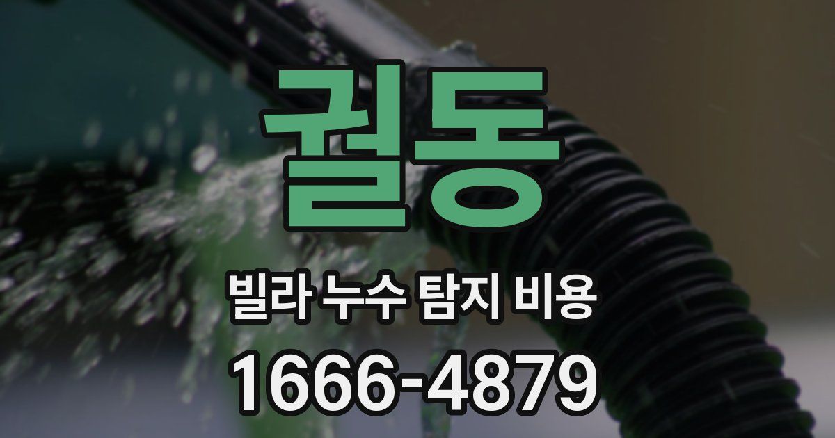 궐동 빌라 누수 탐지 비용