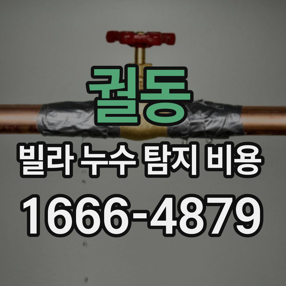 궐동 빌라 누수 탐지 비용