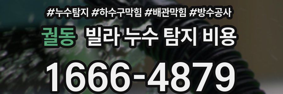 궐동 빌라 누수 탐지 비용