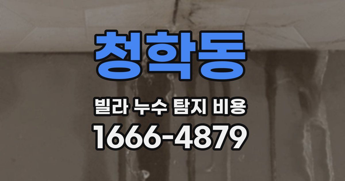 청학동 빌라 누수 탐지 비용
