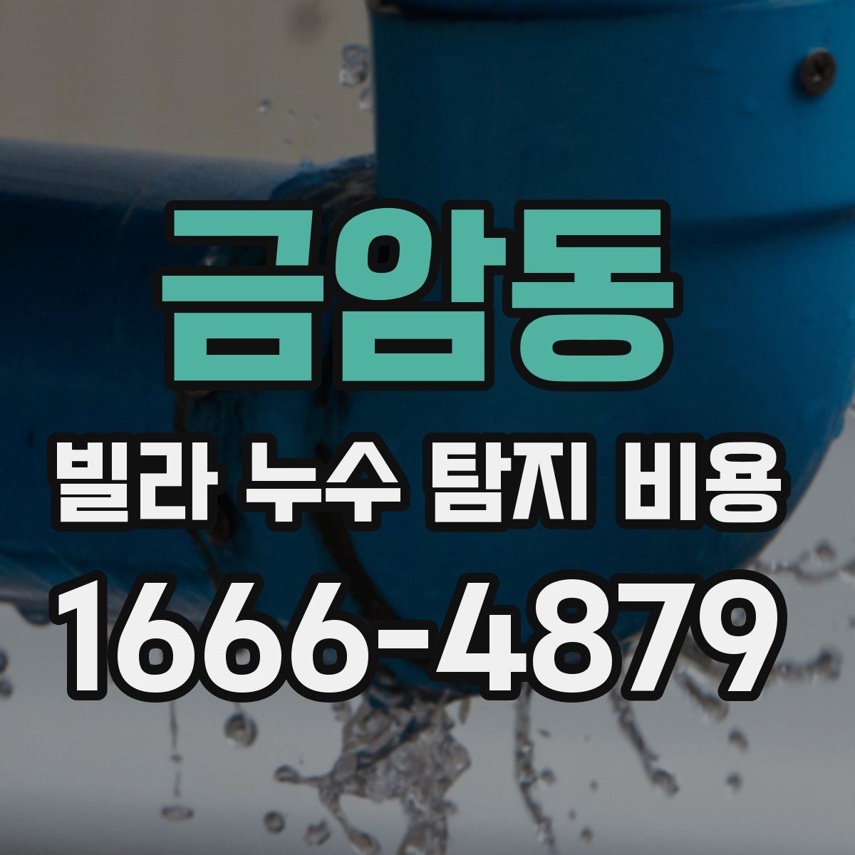 금암동 빌라 누수 탐지 비용