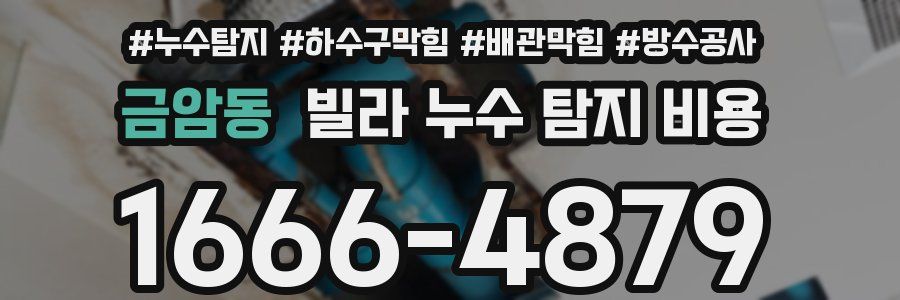 금암동 빌라 누수 탐지 비용