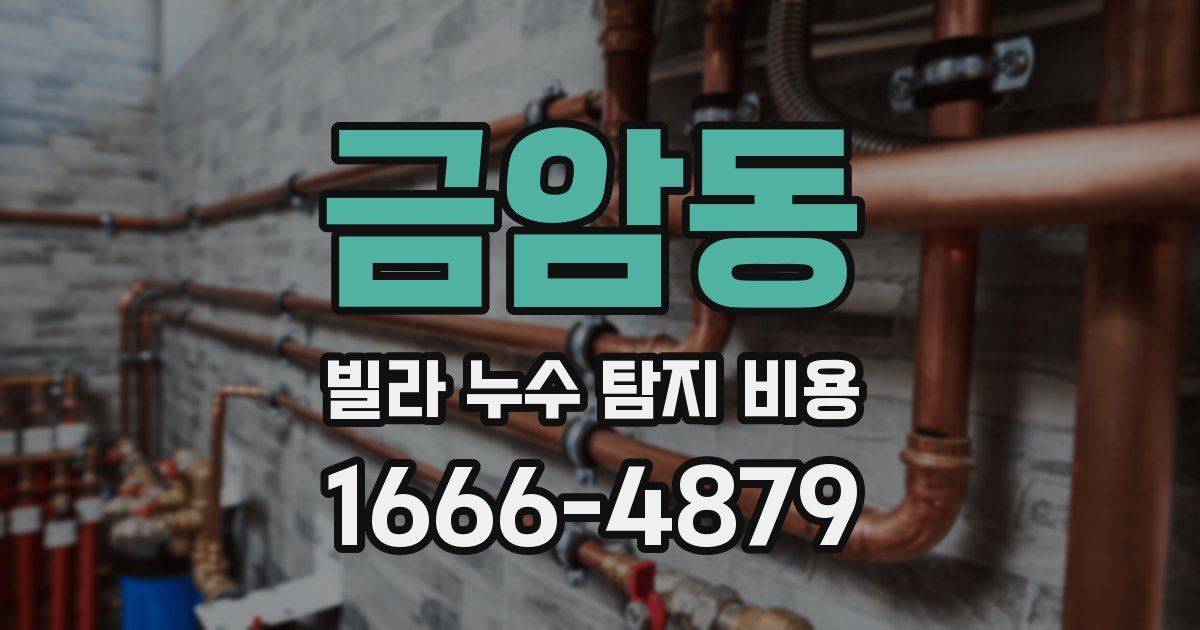 금암동 빌라 누수 탐지 비용