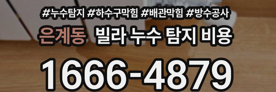 은계동 빌라 누수 탐지 비용