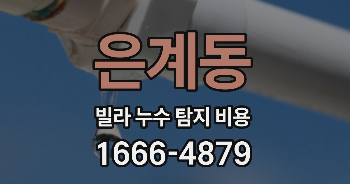 은계동 빌라 누수 탐지 비용