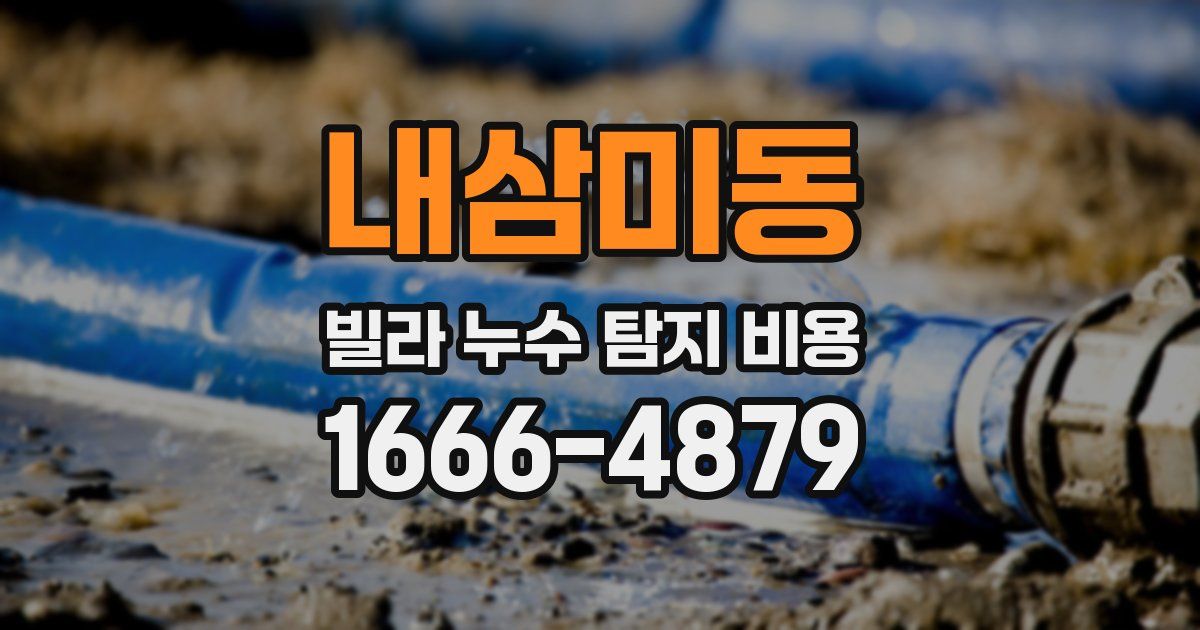 내삼미동 빌라 누수 탐지 비용